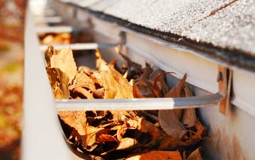 Woodsetton gutter cleaning companies